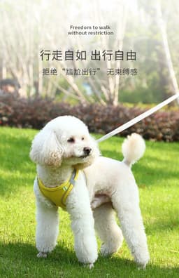image-Zenji Pink Chest Harness Vest for Dogs & Cats - Reflective