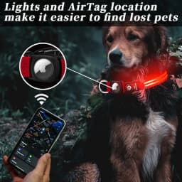 image-Hot selling airtag protective case positioning tracker case waterproof LED pet light-up collar protective case USB charging