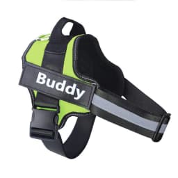 image-OUQIPETE Dog Chest Harness Leash - Purple XXL
