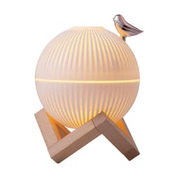 image-Creative Planet USB Mini Humidifier - Silent
