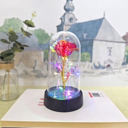 image-Gold Foil Rose in Glass Dome - Preserved Flower Decor