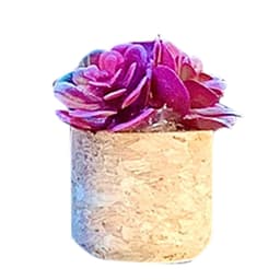 image-Creative succulent cactus potted car air-conditioning outlet aromatherapy clip car aromatherapy cotton car interior decoration