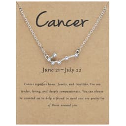 image-Yulu 12-Constellation Diamond Necklace Alloy Clavicle Chain - Brown