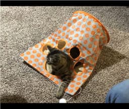 image-Cat Tunnel Toy with Ball & Crinkle Paper Interactive