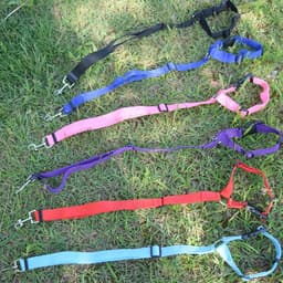 image-Pet Car Seat Belt 2 In 1 Rear Seat Dog Safety Rope