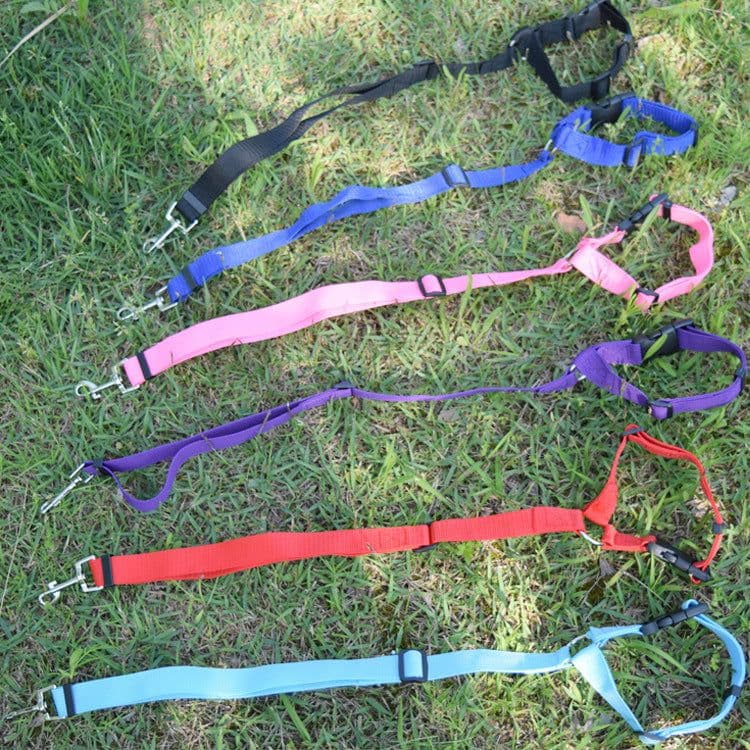 image-Pet Car Seat Belt 2 In 1 Rear Seat Dog Safety Rope