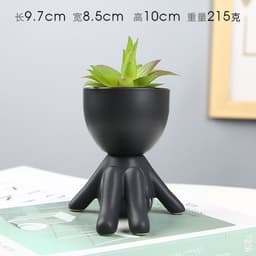 image-Sanwuxuan Nordic Ceramic Succulent Pot