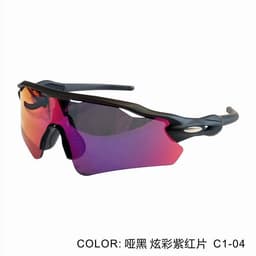 image-PARD HORSE L9208 Cycling Sunglasses - TR90 UV Protection