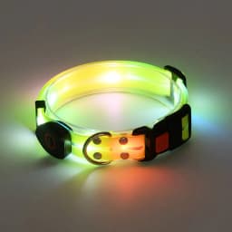 image-LED Pet Collar USB Charging - Nylon Black