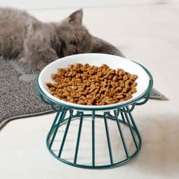 image-Ceramic Cat Bowl Set with Tall Neck Protector - Anti-Tipping Pet Bowls (57 characters)