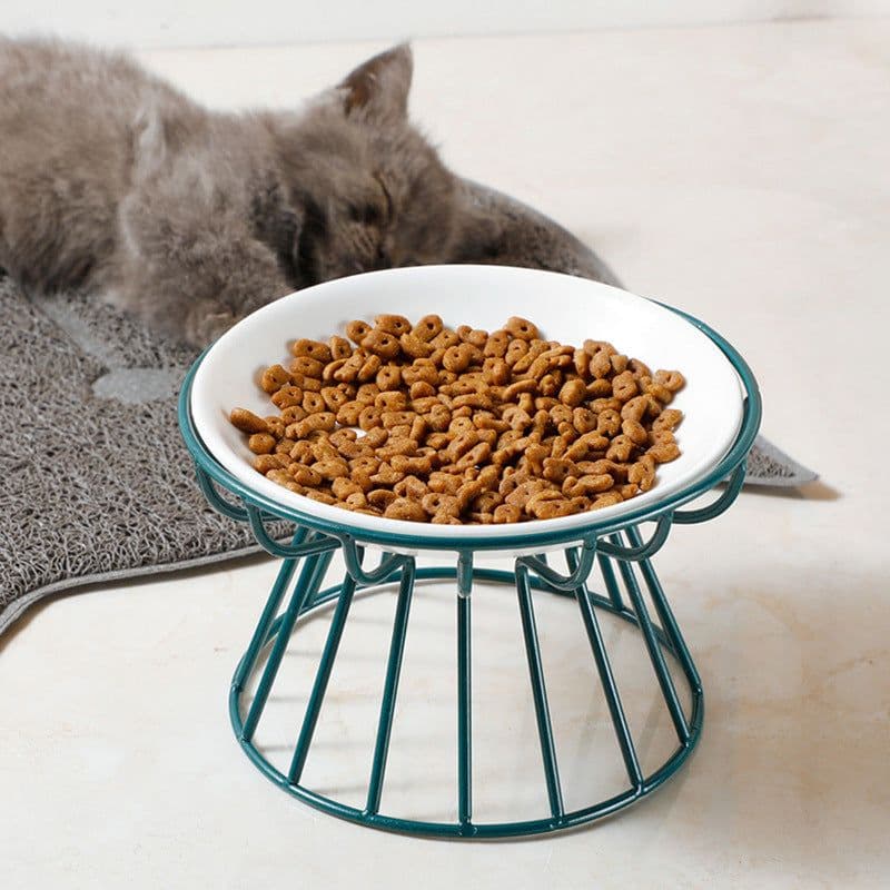 image-Ceramic Cat Bowl Set with Tall Neck Protector - Anti-Tipping Pet Bowls (57 characters)