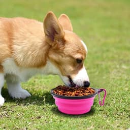 image-5" Portable and Foldable Small Dog Bowl-Pink set of 5