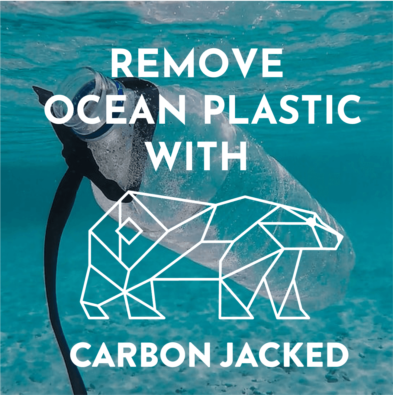 image-Ocean Plastic Removal