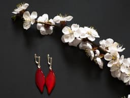 image-Boho earrings of Buffalo horn Red colour with a silver lock Earrings
