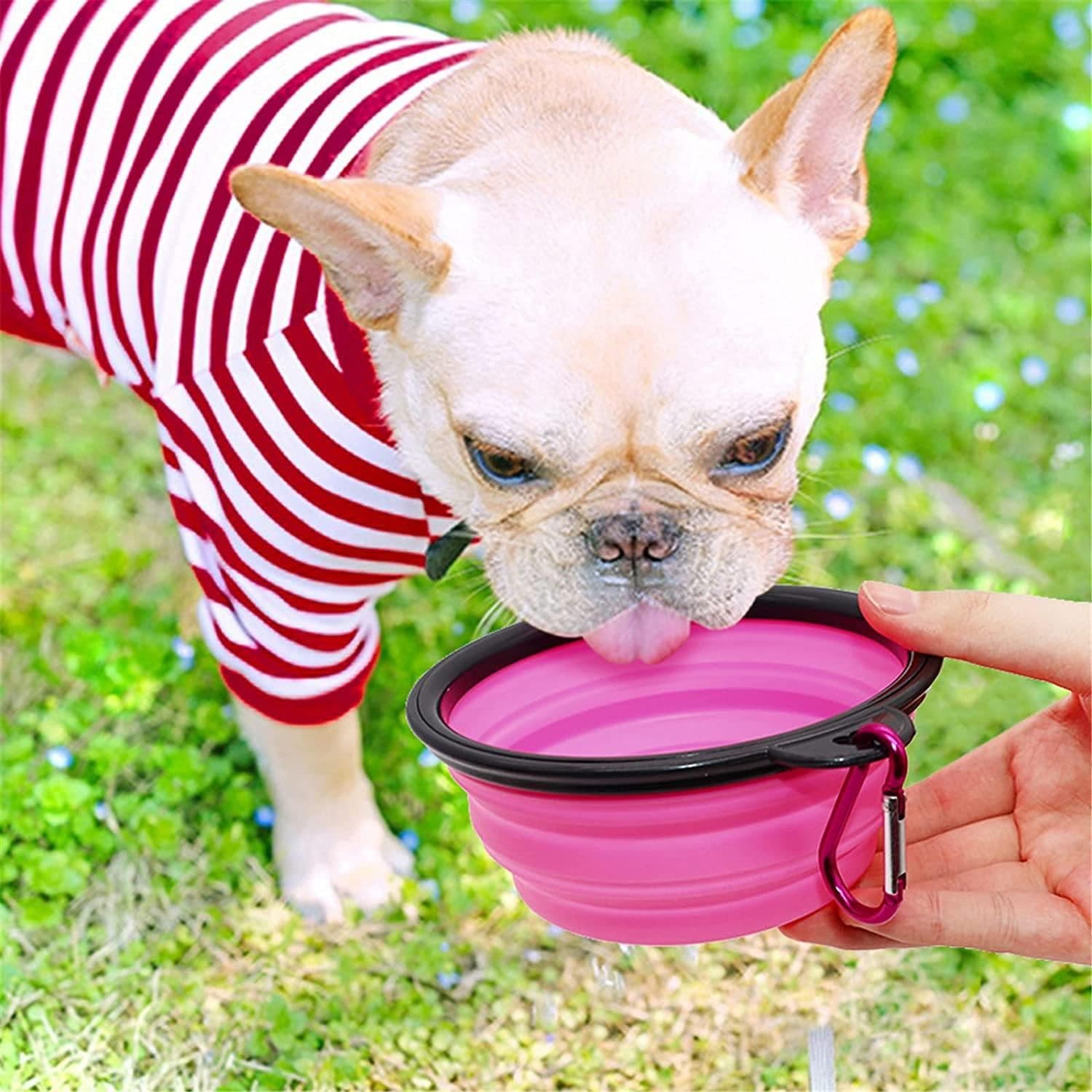 image-5" Portable and Foldable Small Dog Bowl-Purple set of 5