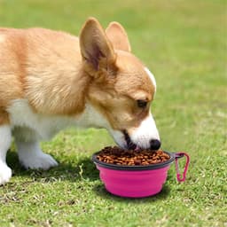 image-5" Portable and Foldable Small Dog Bowl-Purple set of 5