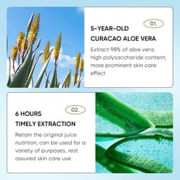 image-24pcs SADOER Aloe Vera Lip Balm Moisturizing Anti Cracking Hydrating Nourishing Anti Wrinkles Lipstick Lips Skin Care Products