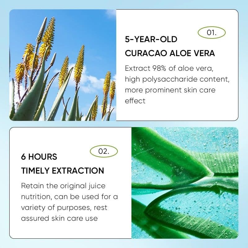 image-24pcs SADOER Aloe Vera Lip Balm Moisturizing Anti Cracking Hydrating Nourishing Anti Wrinkles Lipstick Lips Skin Care Products
