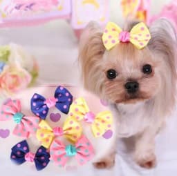 image-10Pcs/lot Fashion Pet Hair Accessories Yorkshire Chihuahua Wig
