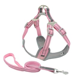 image-Safe Small Pets leashes Dogs Leads Reflective Coat Pet Chest and Back