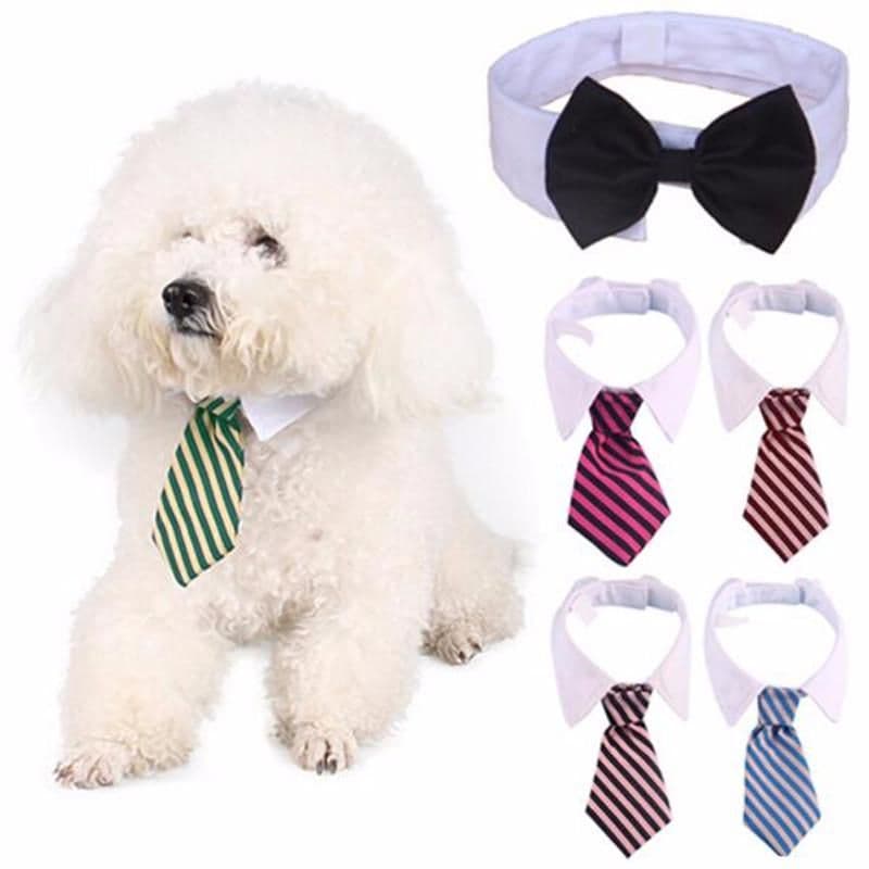 image-Dog Grooming Cat Striped Bow Tie Collar Pet Adjustable Neck Tie White