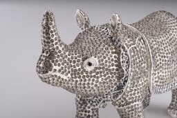 image-Rhino