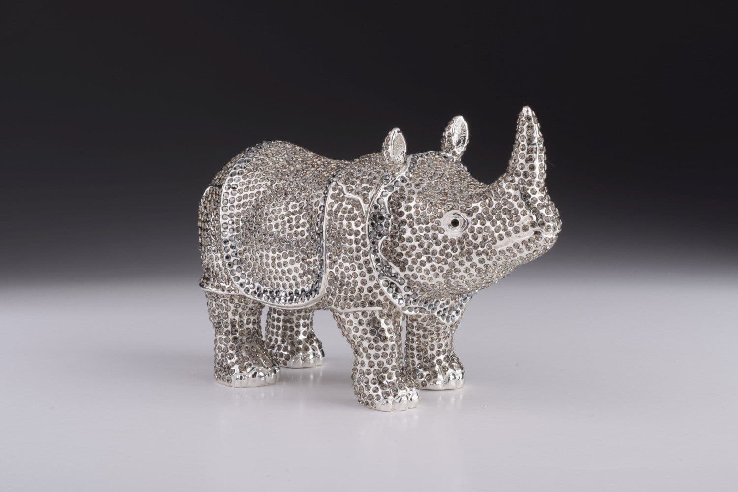 image-Rhino
