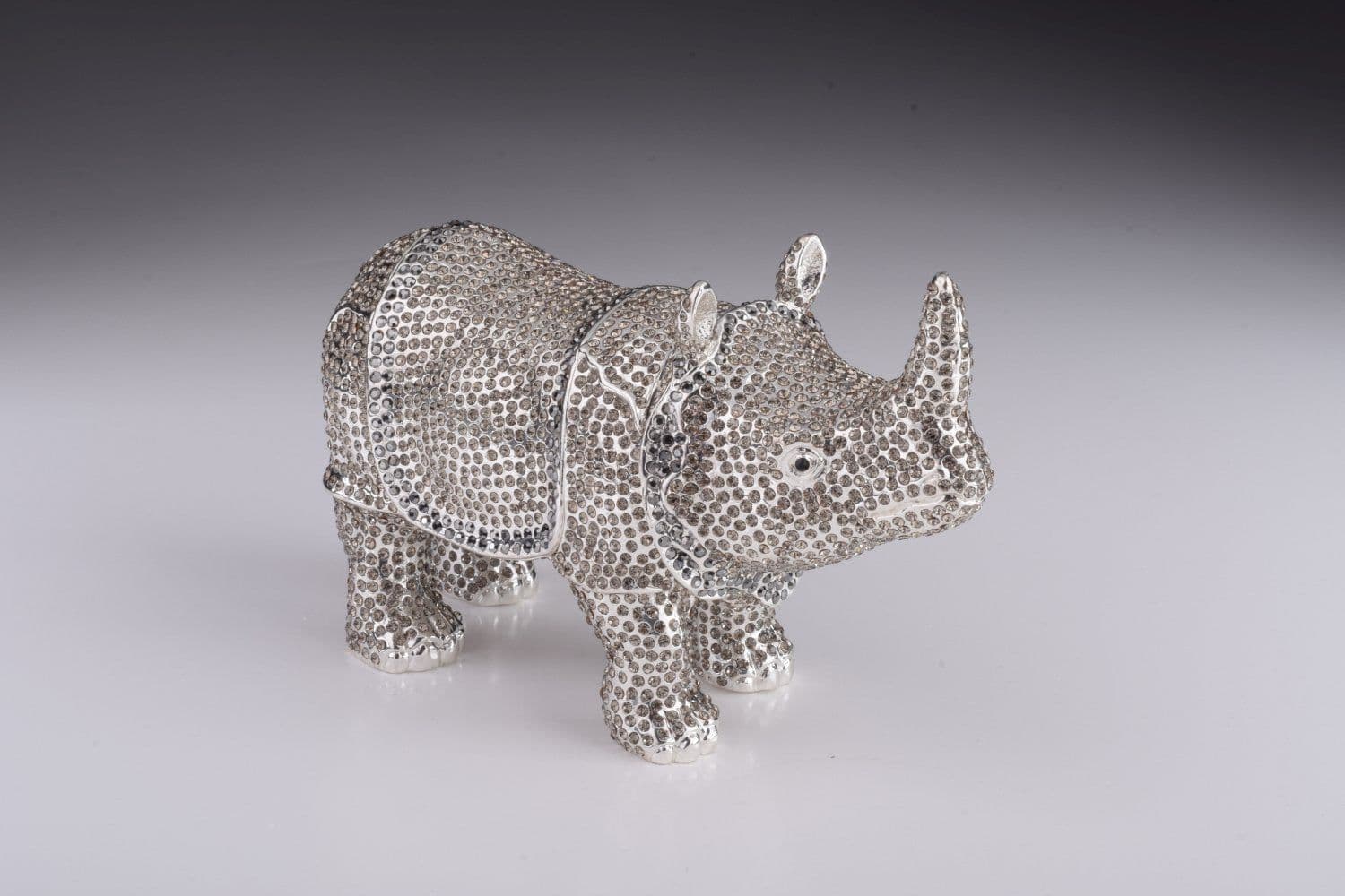 image-Rhino