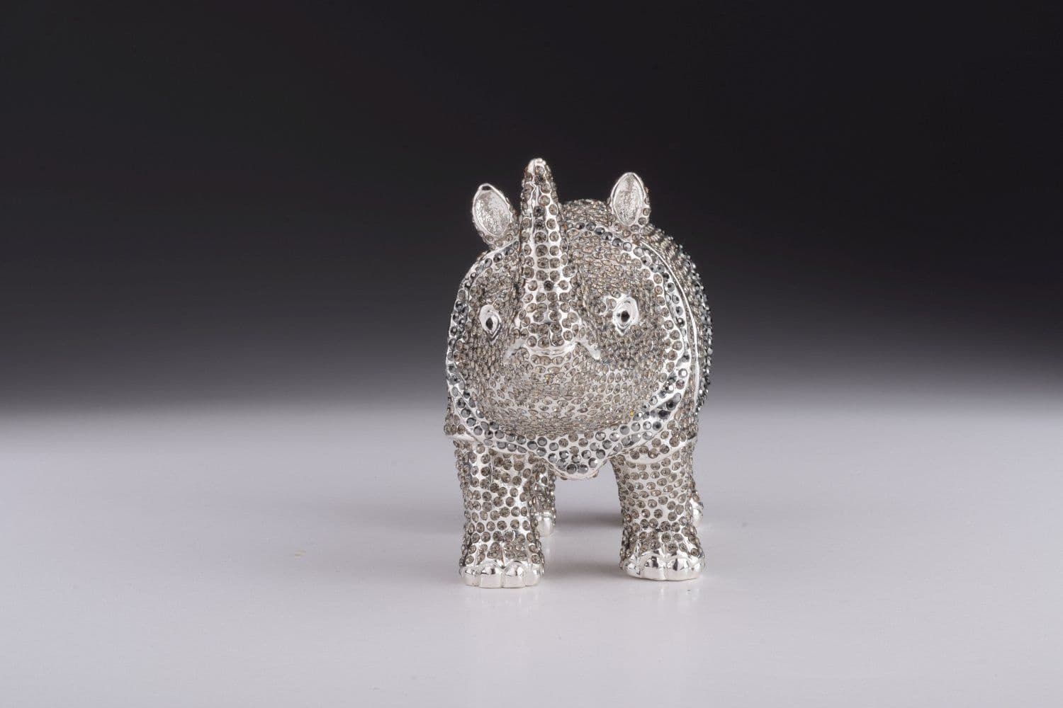 image-Rhino
