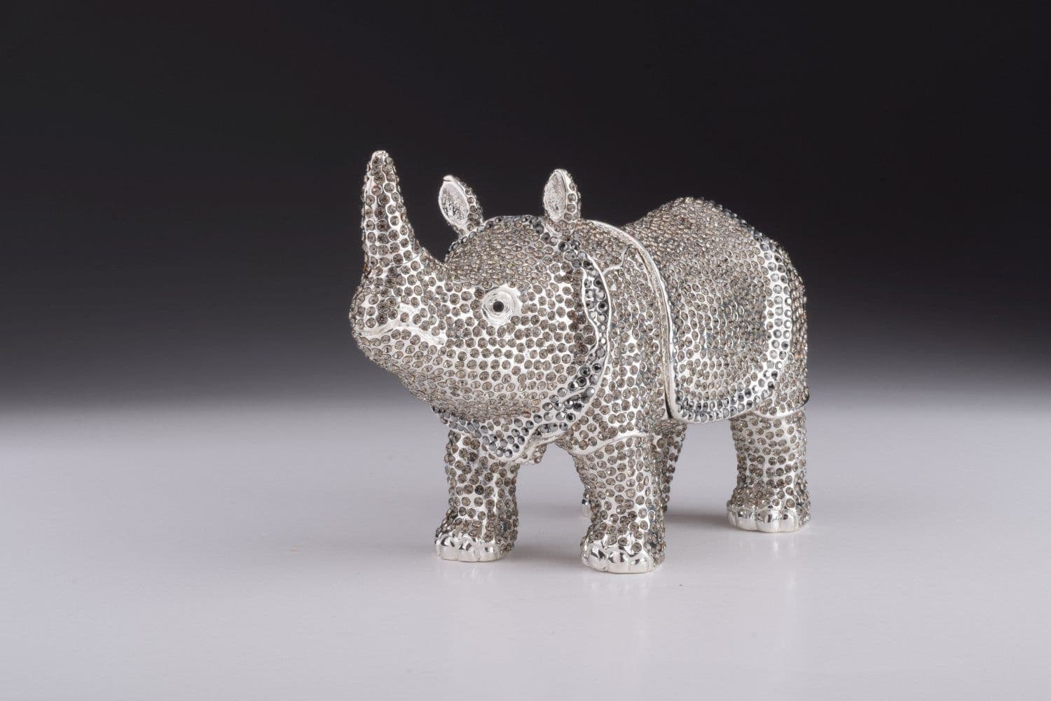 image-Rhino