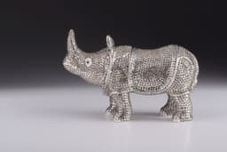 image-Rhino