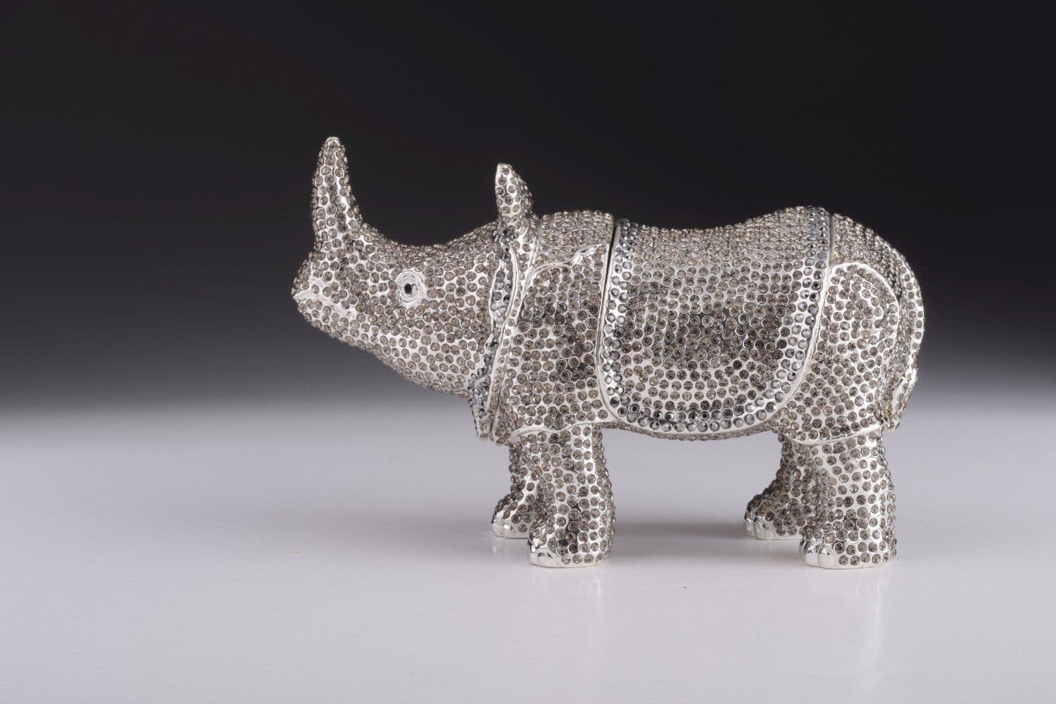 image-Rhino