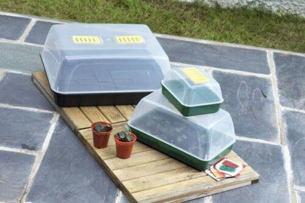 image-Whitefurze Windowsill Propagator Set Grow Plant Starter Kit Lidded Trays