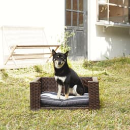 image-Indoor Outdoor Rattan Cat or Dog Elevated Rattan Bed ST-N10005-UK
