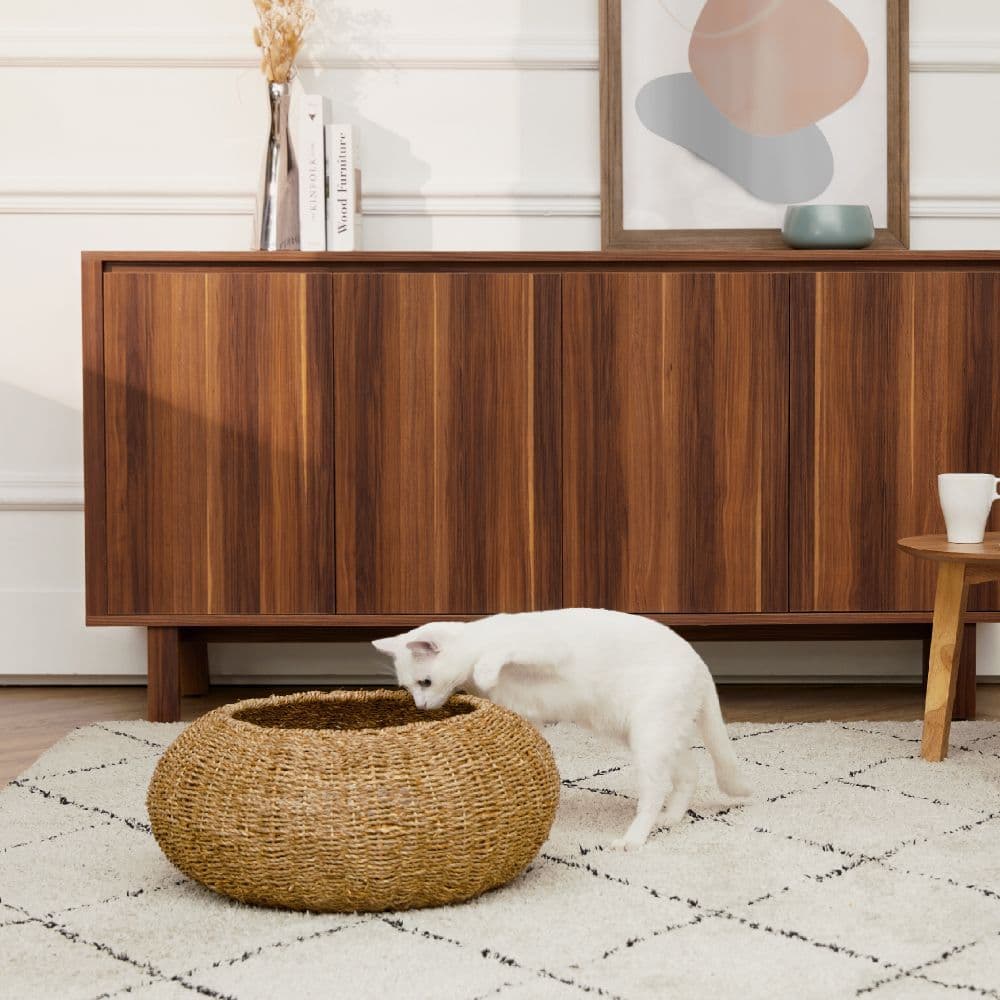 image-Indoor Wicker Cat or Small Dog Bed Basket & Cushion ST-N10003-UK