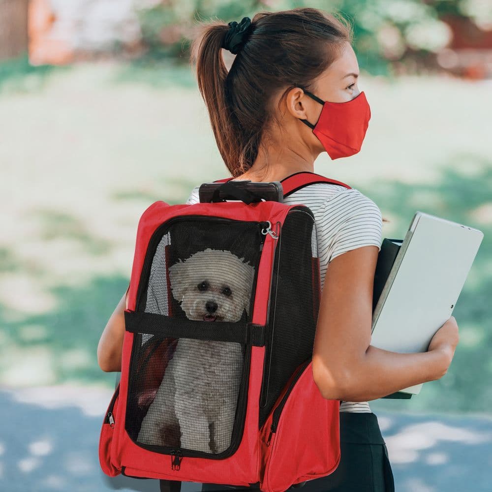 image-Pet Travel Backpack Bag Cat Puppy Dog Carrier w/ Trolley and Telescopic Handle