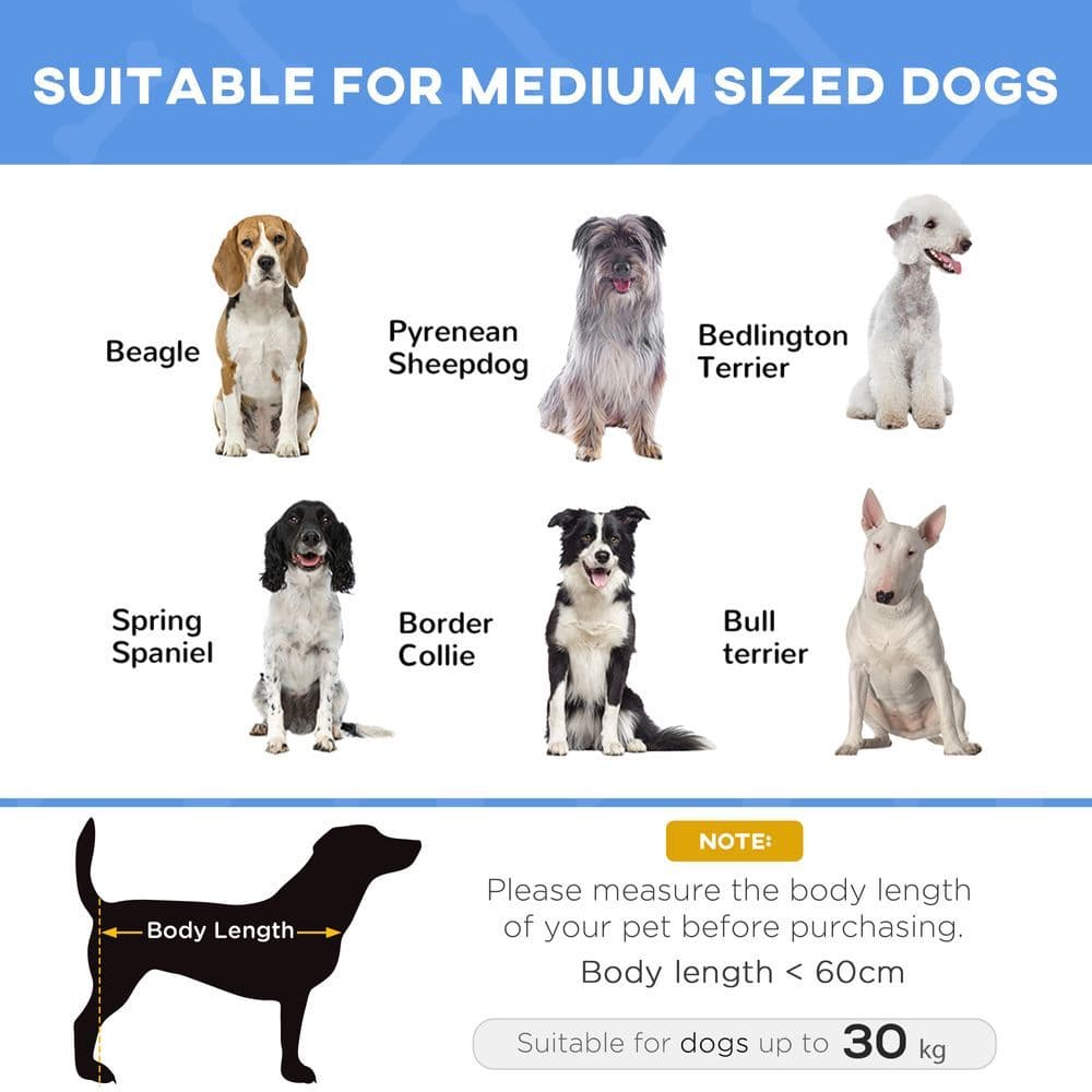 image-Elevated Pet Bed Cool Cot Dog Cat Portable Folding Home Camping Hammock Foldable
