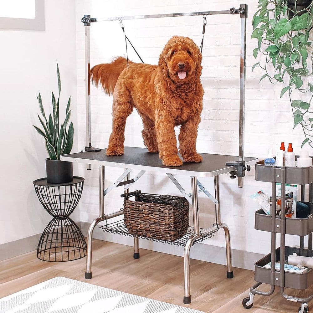 image-Dog Grooming Table Metal Adjustable Rubber Top 2 Safety Slings Mesh Black