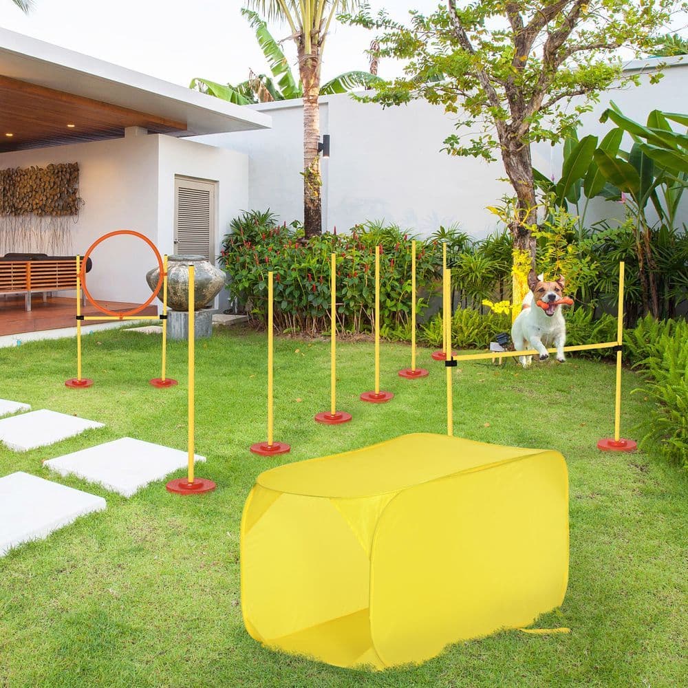 image-Outdoor 4 PCs Dog Pet Agility Training Equipment Backyard Starter Course Set