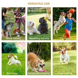 image-Outdoor 4 PCs Dog Pet Agility Training Equipment Backyard Starter Course Set