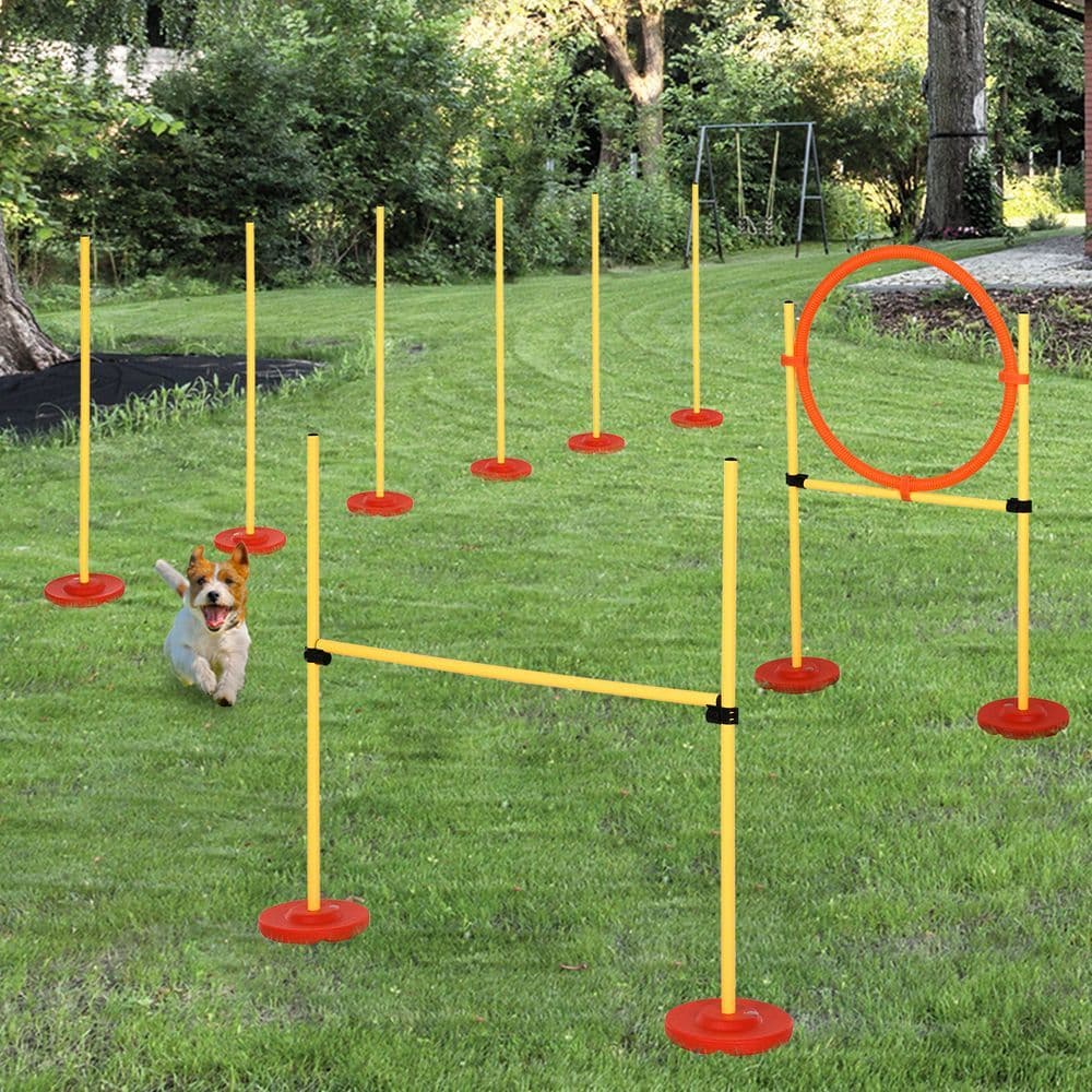 image-Portable Pet Agility Training Obstacle Set for Jumping Pole,Ring,Turnstile poles