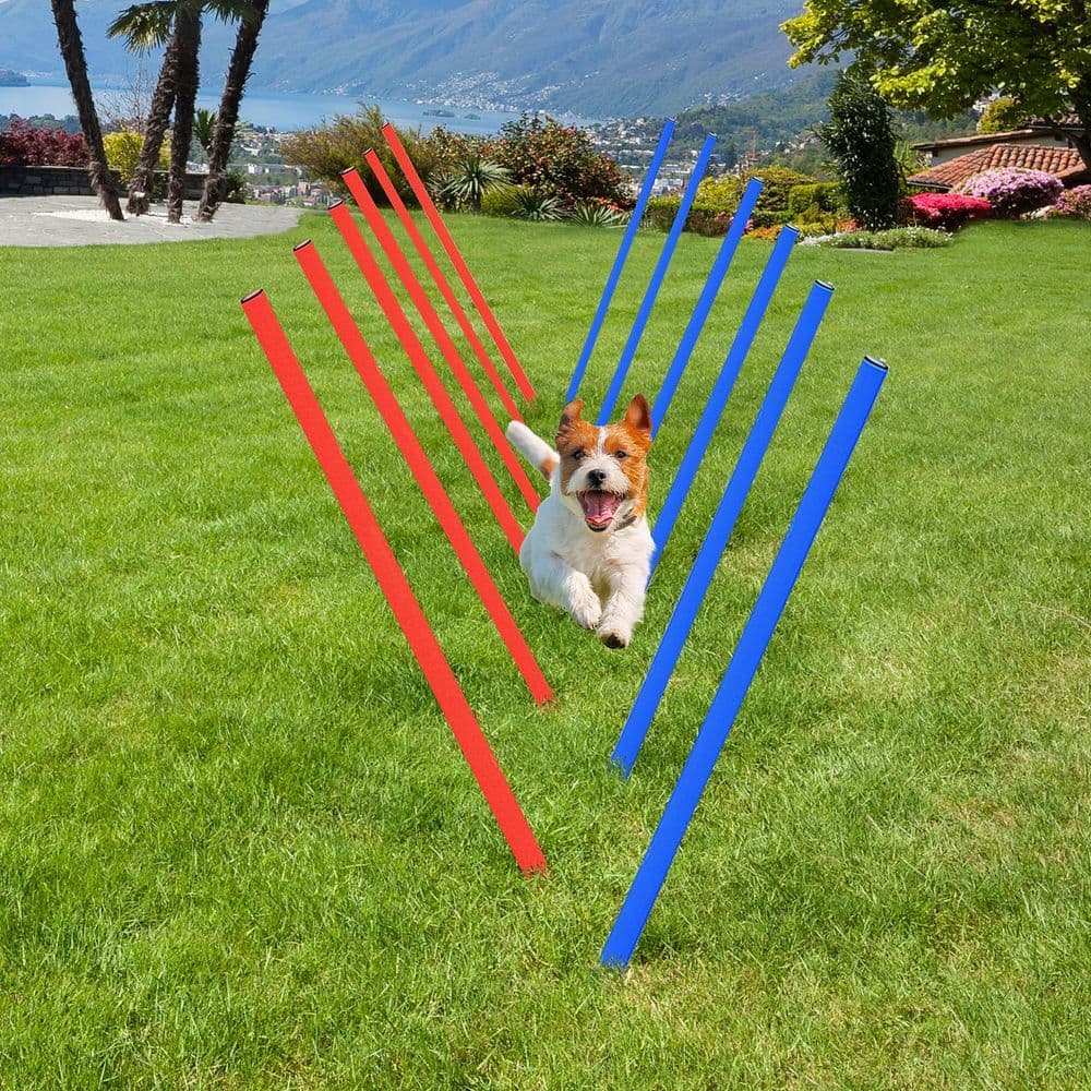image-Pet Agility Set Training Play Kit Dog Hoop Poles Tunnel Obedience Equipment