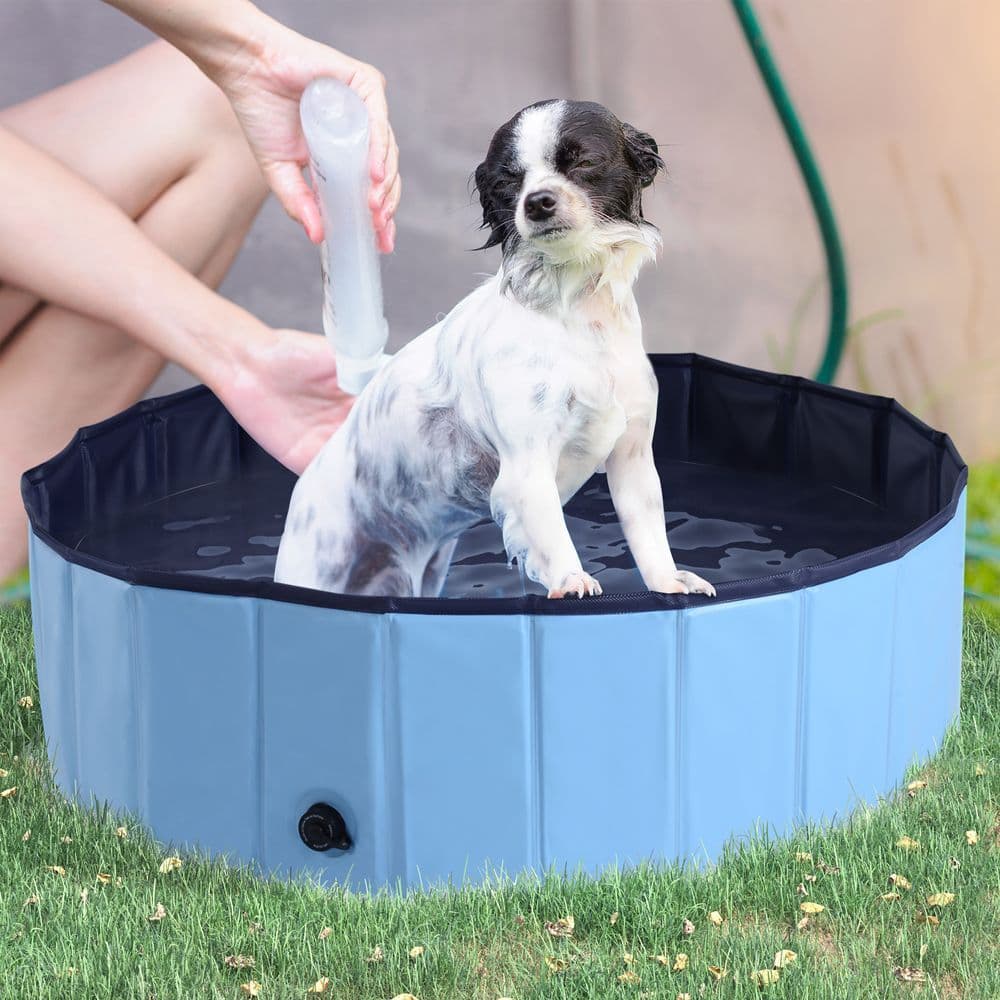 image-Pet Cat Dog Swimming Pool Indoor Outdoor Bathing Foldable Inflate 100cm Pawhut