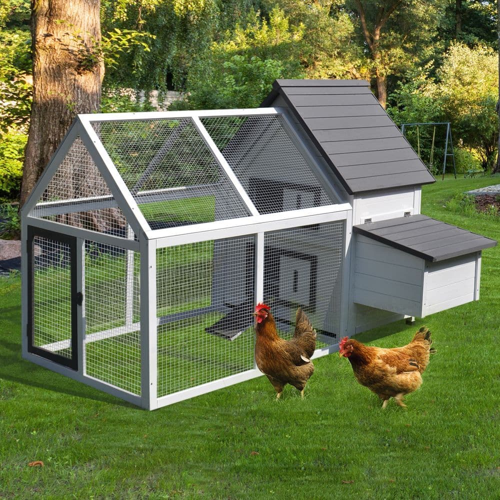 image-Wooden Chicken Coop Hen House Enclosure with Ramp Run Nesting Box Pawhut