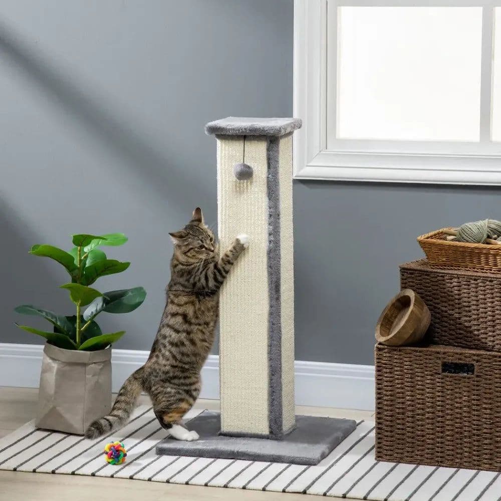 image-Cat Scratching Post 81cm Cat Scratcher w/ Natural Sisal Rope Hanging Ball Grey