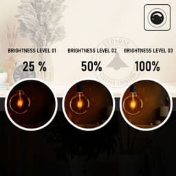image-10 Pack E27 LED Edison Dimmable Vintage Amber Glass Warm white 2700K