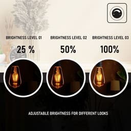 image-6Pack E27 LED Edison Dimmable Vintage Amber Glass Warm white 2700K Light Bulb