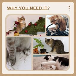 image-PawHut 56cm Cat Tree for Indoor Cats, Scratching Post w/ Cat Toys - Grey