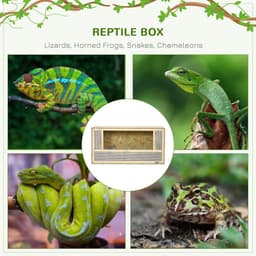 image-PawHut 80cm Reptile Terrarium Vivarium w/ Glass Sliding Doors, Breathable Mesh