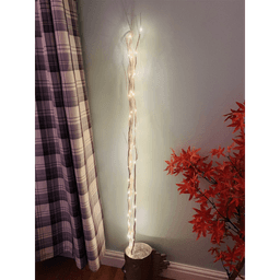 image-LED Lights on 4 White Branches